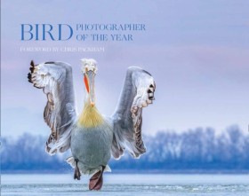 Bird Photo …