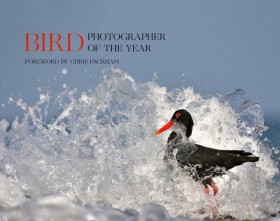 Bird Photo …