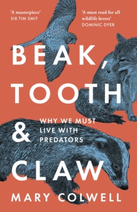 Beak, Toot …