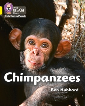 Chimpanzee …