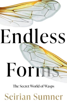Endless Fo …
