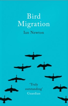 Bird Migra &hellip;