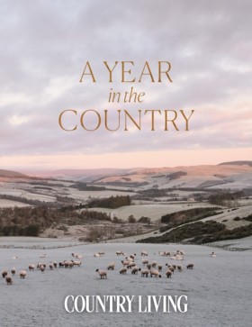 A Year in &hellip;