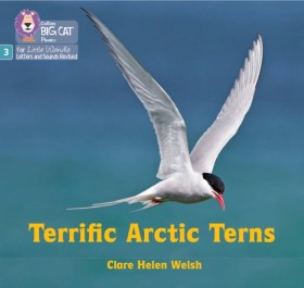 Terrific A …