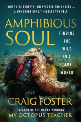Amphibious …