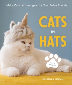 Cats in Ha …