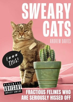 Sweary Cat …