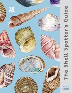 The Shell …