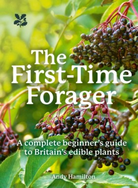 The First- &hellip;