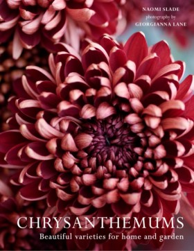 Chrysanthe &hellip;