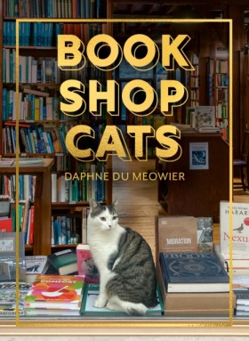 Bookshop C …