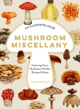 Mushroom M &hellip;