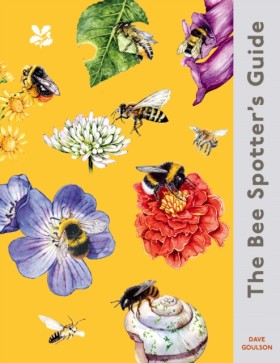 The Bee Sp &hellip;