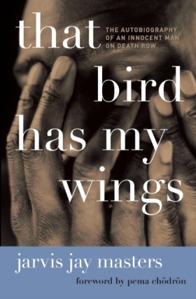 That Bird …