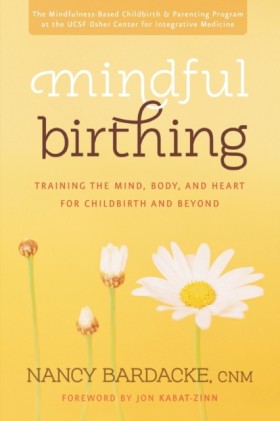 Mindful Bi …
