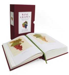 Wine Grape &hellip;