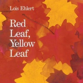 Red Leaf, …
