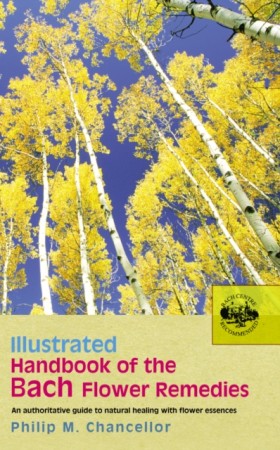 Illustrate …