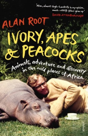 Ivory, Ape …