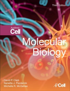 Molecular &hellip;