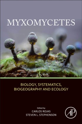 Myxomycete &hellip;