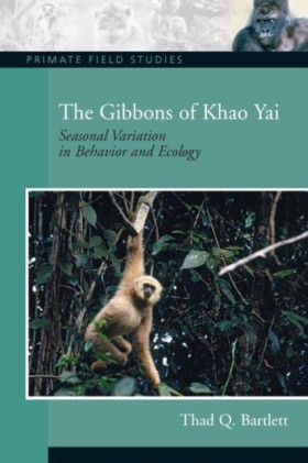 The Gibbon …