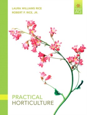 Practical …