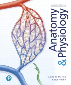 Anatomy & &hellip;