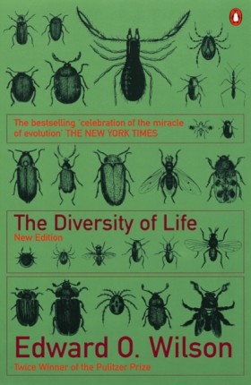 The Divers &hellip;