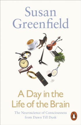 A Day in t &hellip;