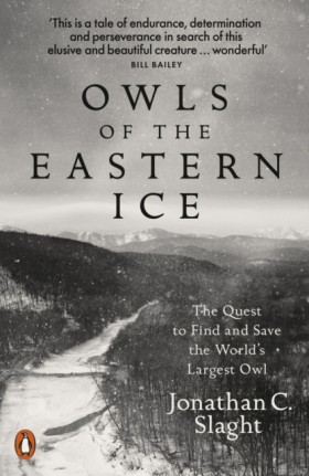 Owls of th &hellip;