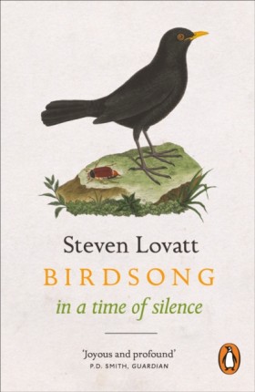 Birdsong i …