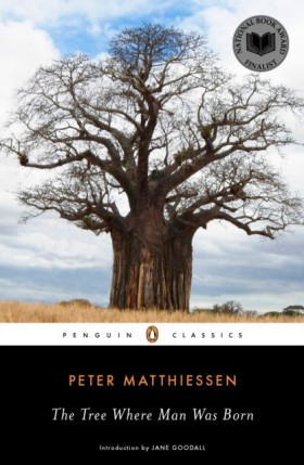 The Tree W …