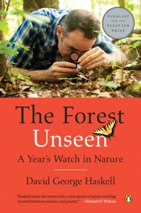 The Forest &hellip;