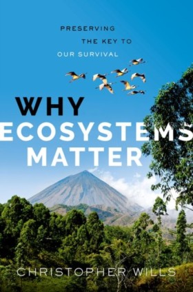 Why Ecosys …