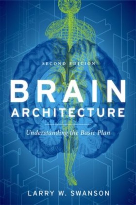 Brain Arch …