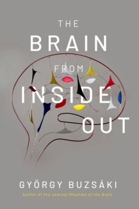 The Brain &hellip;