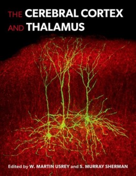 The Cerebr &hellip;
