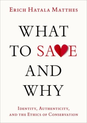 What to Sa …