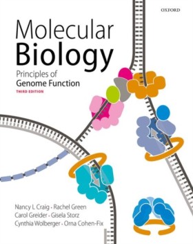Molecular …