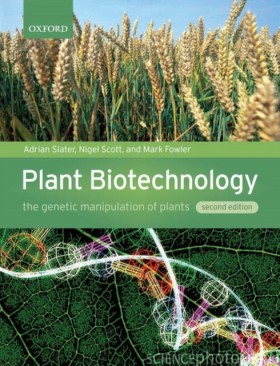 Plant Biot …