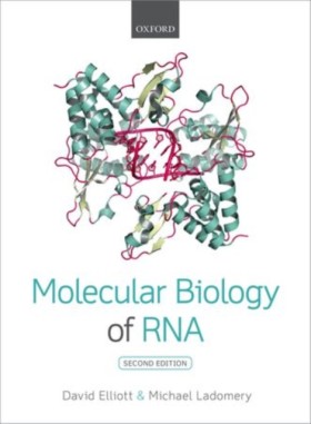 Molecular …