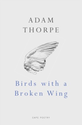 Birds With &hellip;