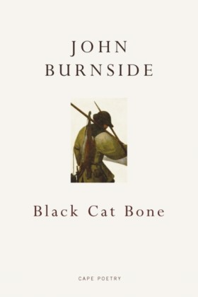 Black Cat …