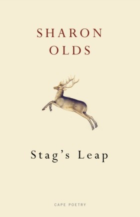 Stags Leap