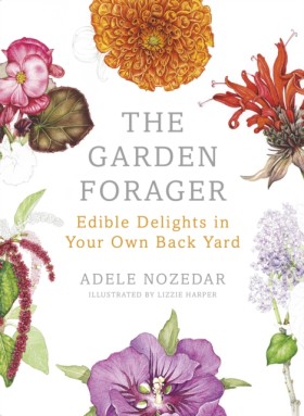 The Garden &hellip;