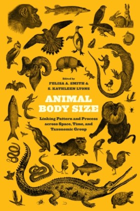 Animal Bod …