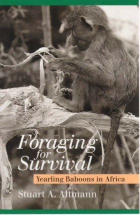 Foraging f &hellip;