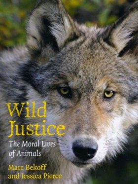 Wild Justi &hellip;