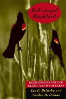 Red-winged &hellip;
